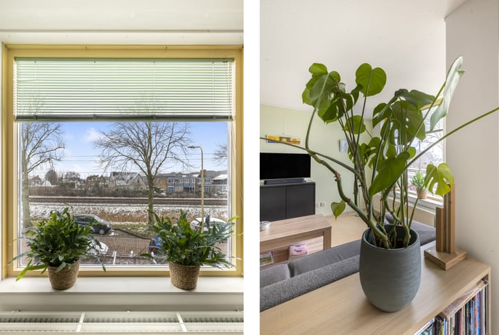 Foto 5 van Schoutenbosch 103