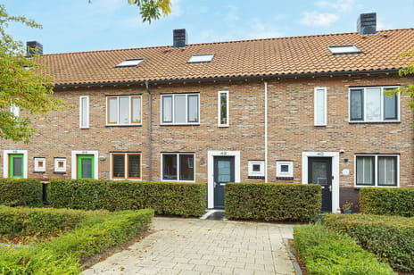 undefined main image