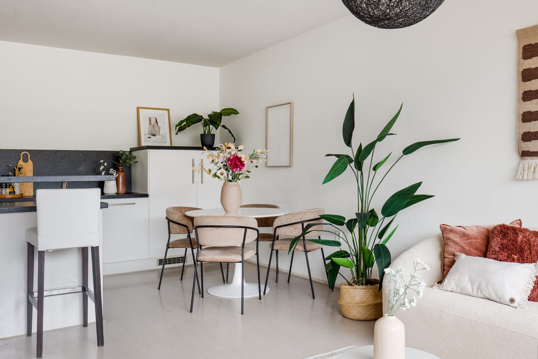 Foto 8 van Madridplantsoen 81