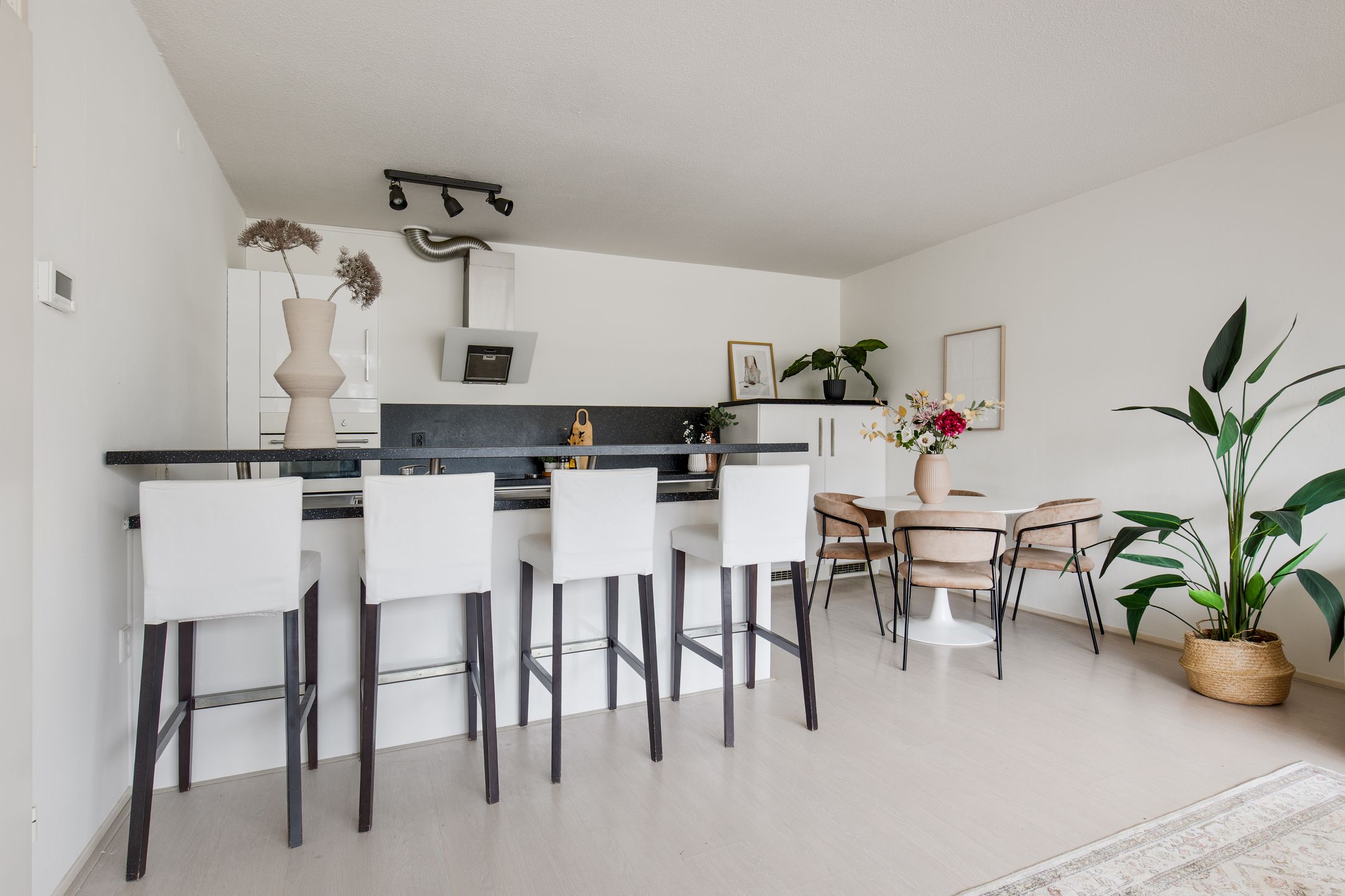 Foto 9 van Madridplantsoen 81