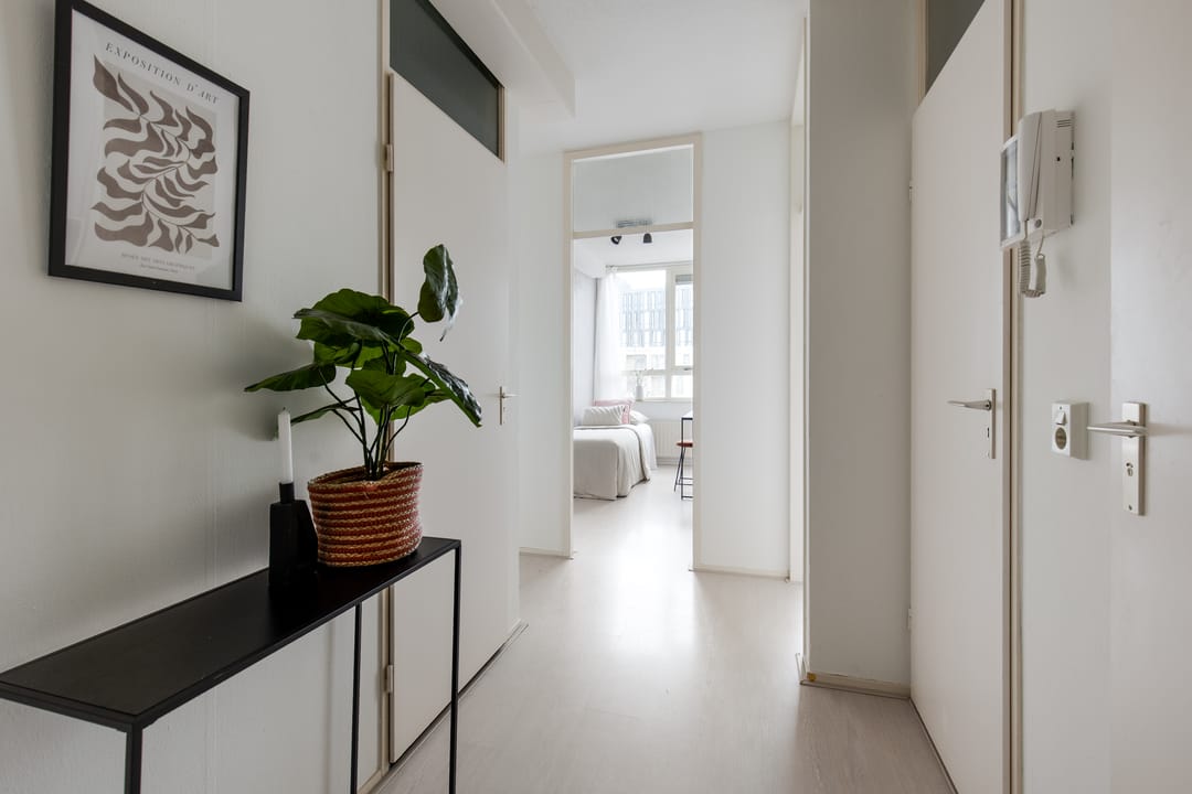 Foto 16 van Madridplantsoen 81