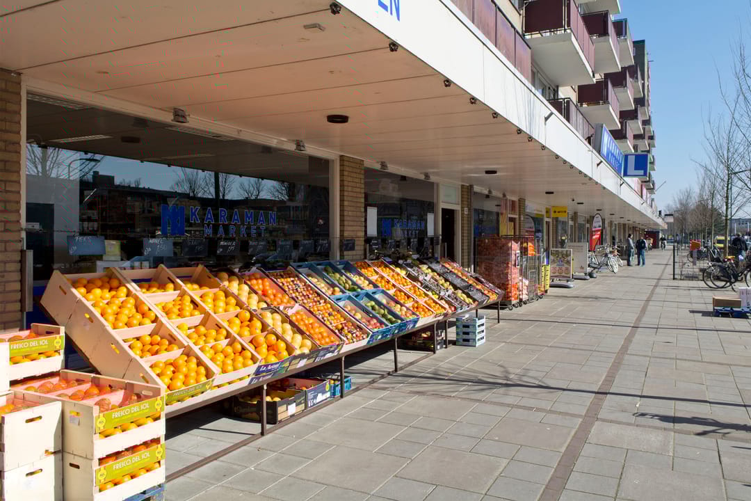 Foto 31 van Madridplantsoen 81