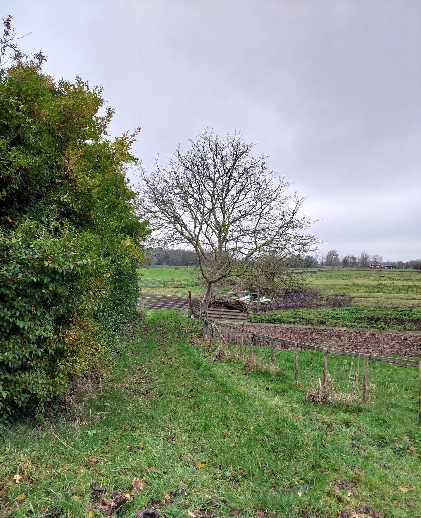 Bekijk foto 5 van Zuiddijk