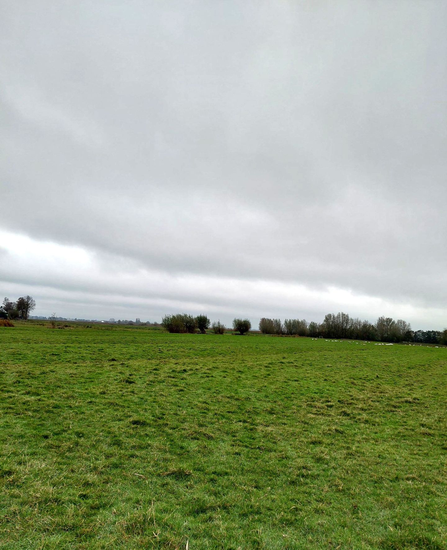 Bekijk foto 3 van Zuiddijk