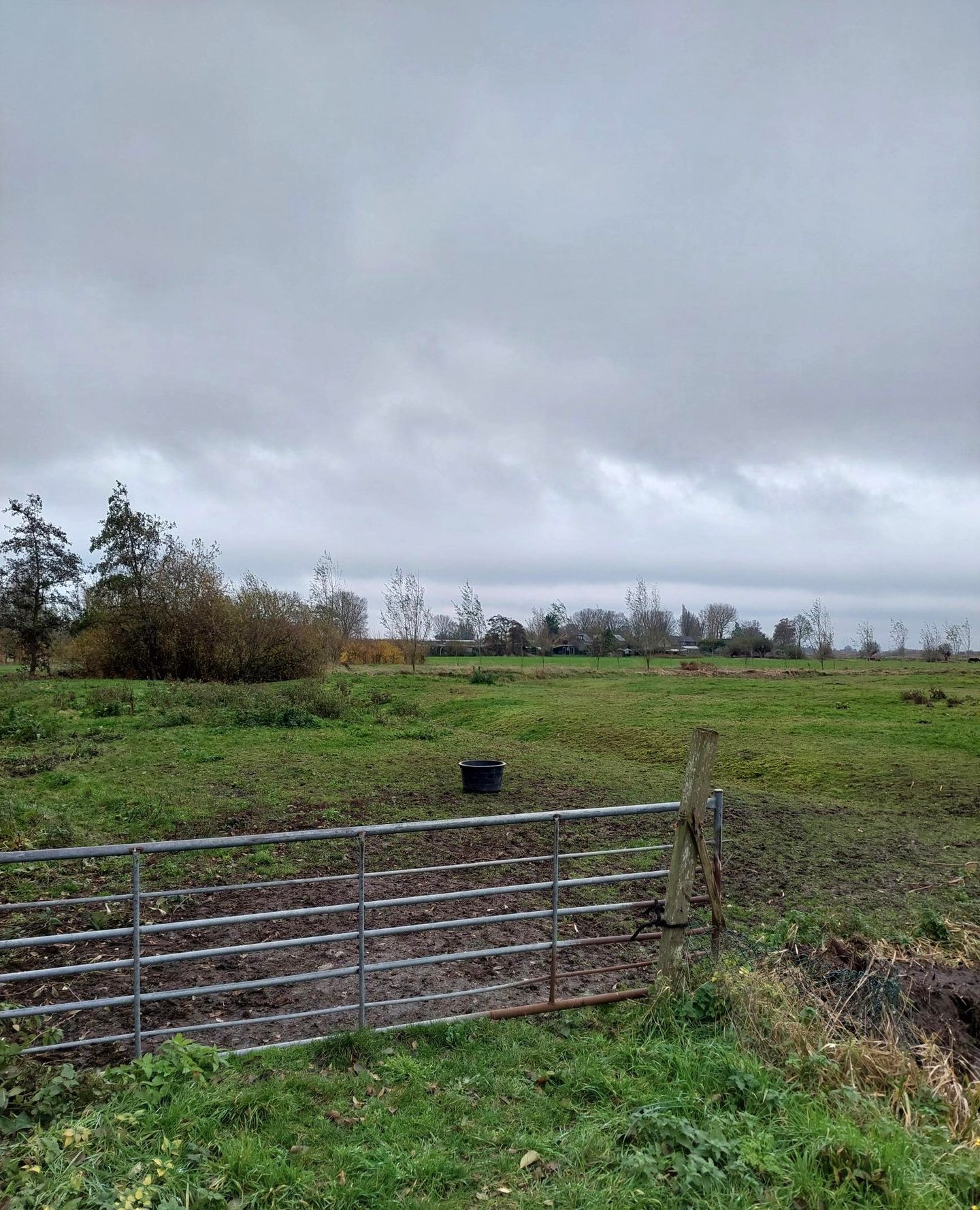 Bekijk foto 4 van Zuiddijk