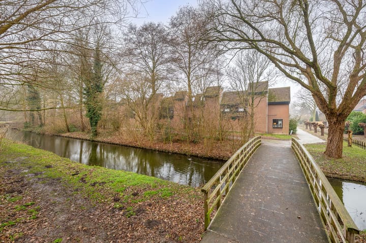 Foto 5 van Tureluur 32