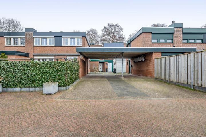 Foto 7 van Tureluur 32