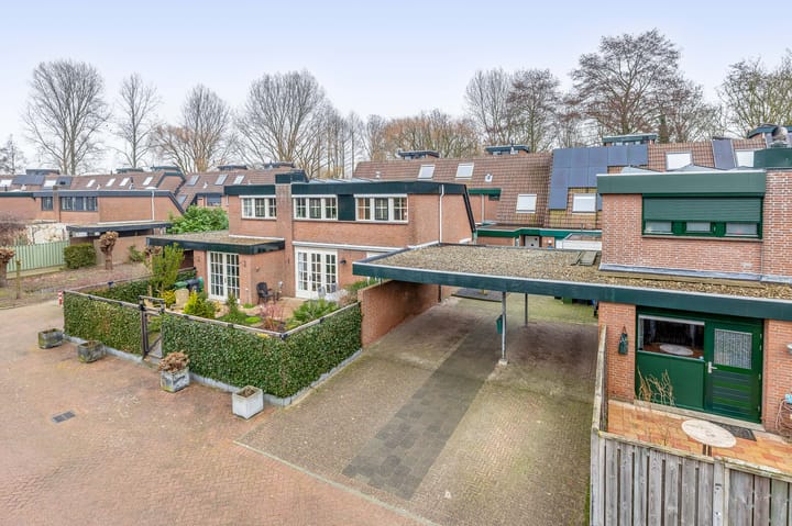 Foto 9 van Tureluur 32