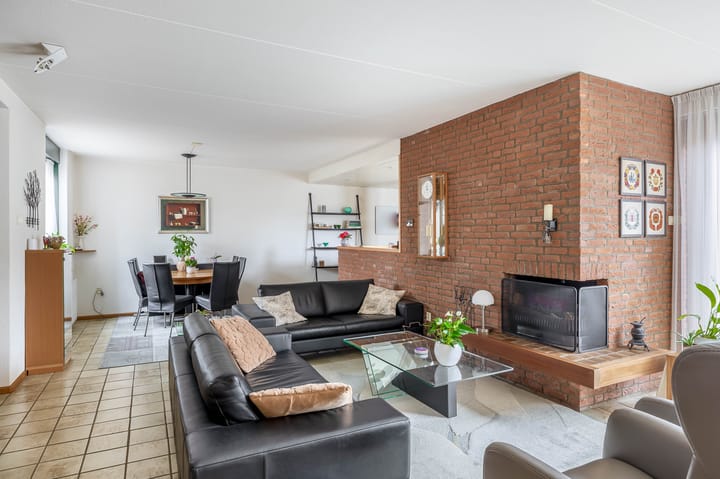 Foto 2 van Tureluur 32