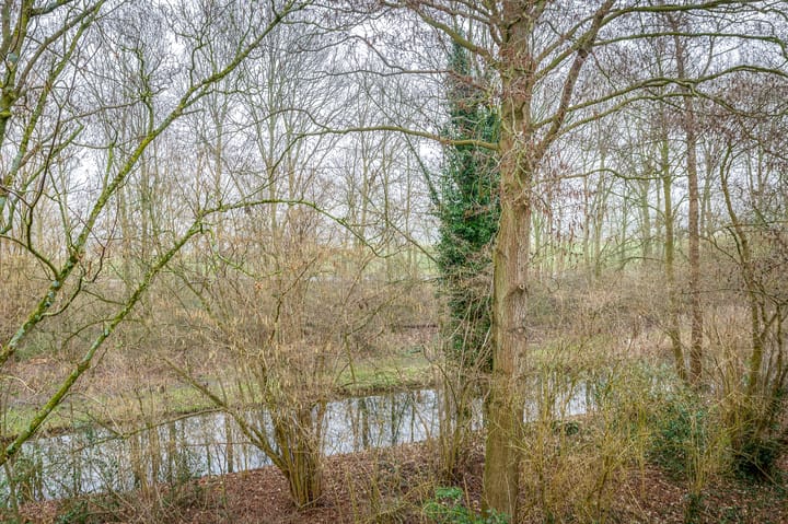 Foto 44 van Tureluur 32