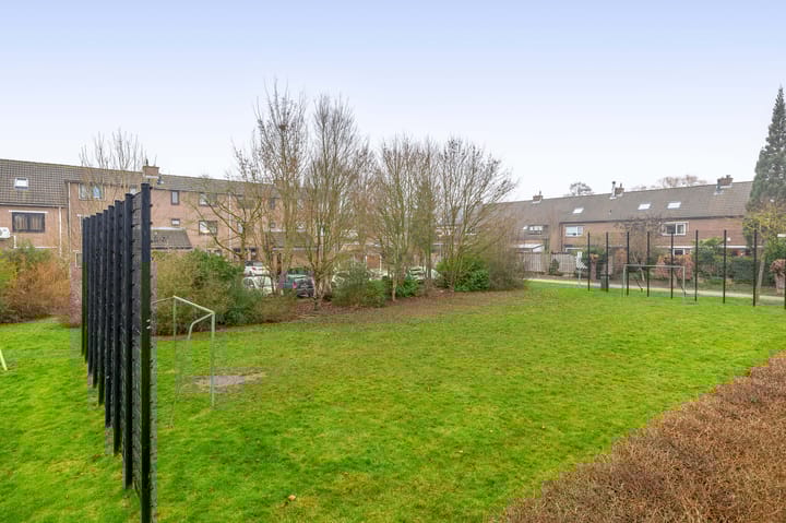 Foto 45 van Tureluur 32