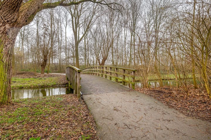 Foto 46 van Tureluur 32