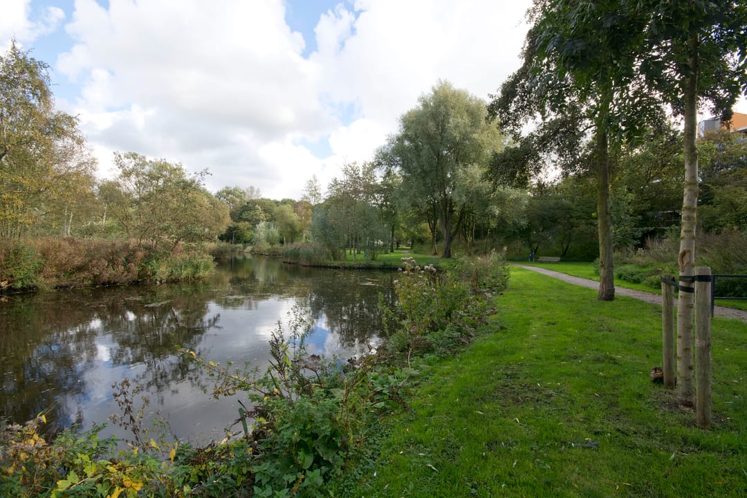 Photo 26 of Sandenburg 449