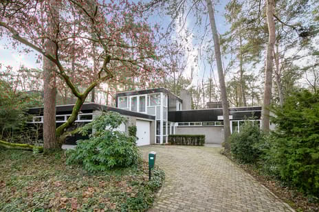 Ravetsmaar thumbnail