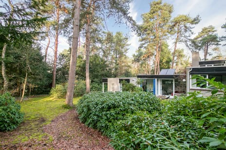 Ravetsmaar 13 tertiary image