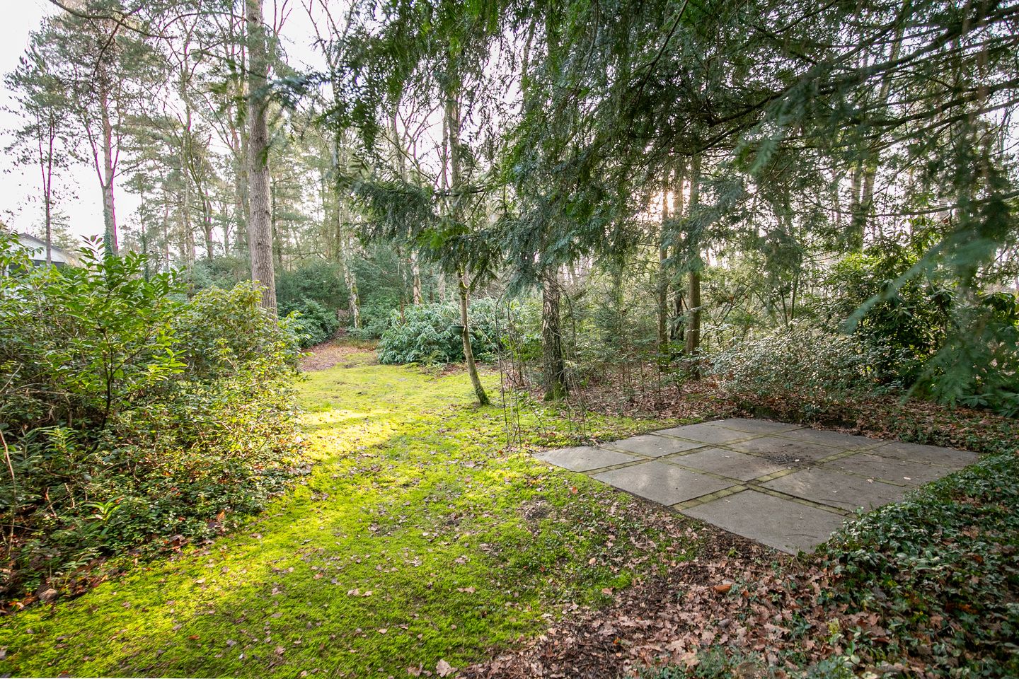 Foto 29 van Ravetsmaar 13