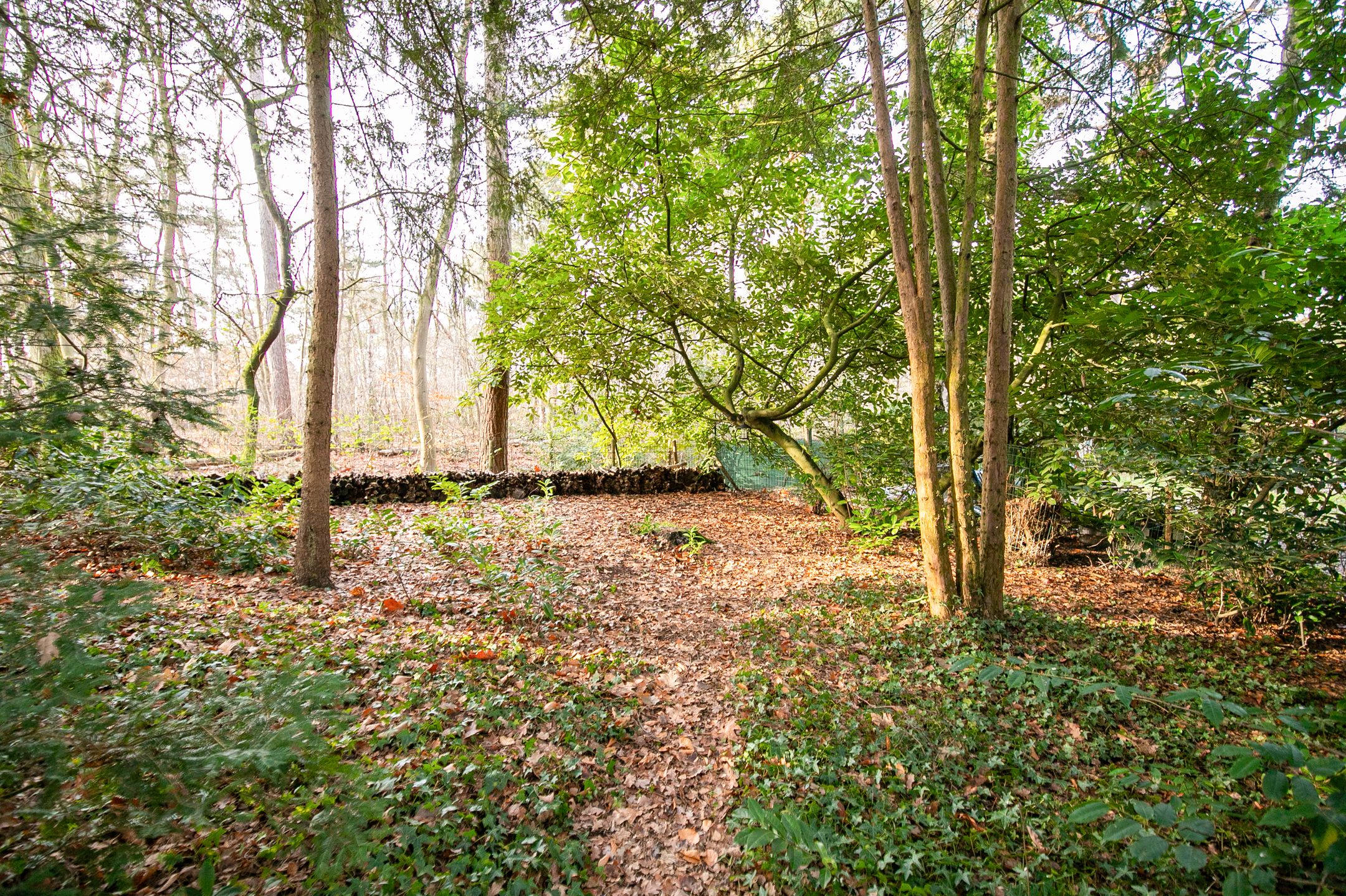 Foto 30 van Ravetsmaar 13