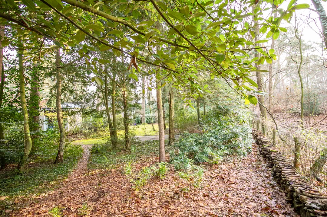 Foto 31 van Ravetsmaar 13