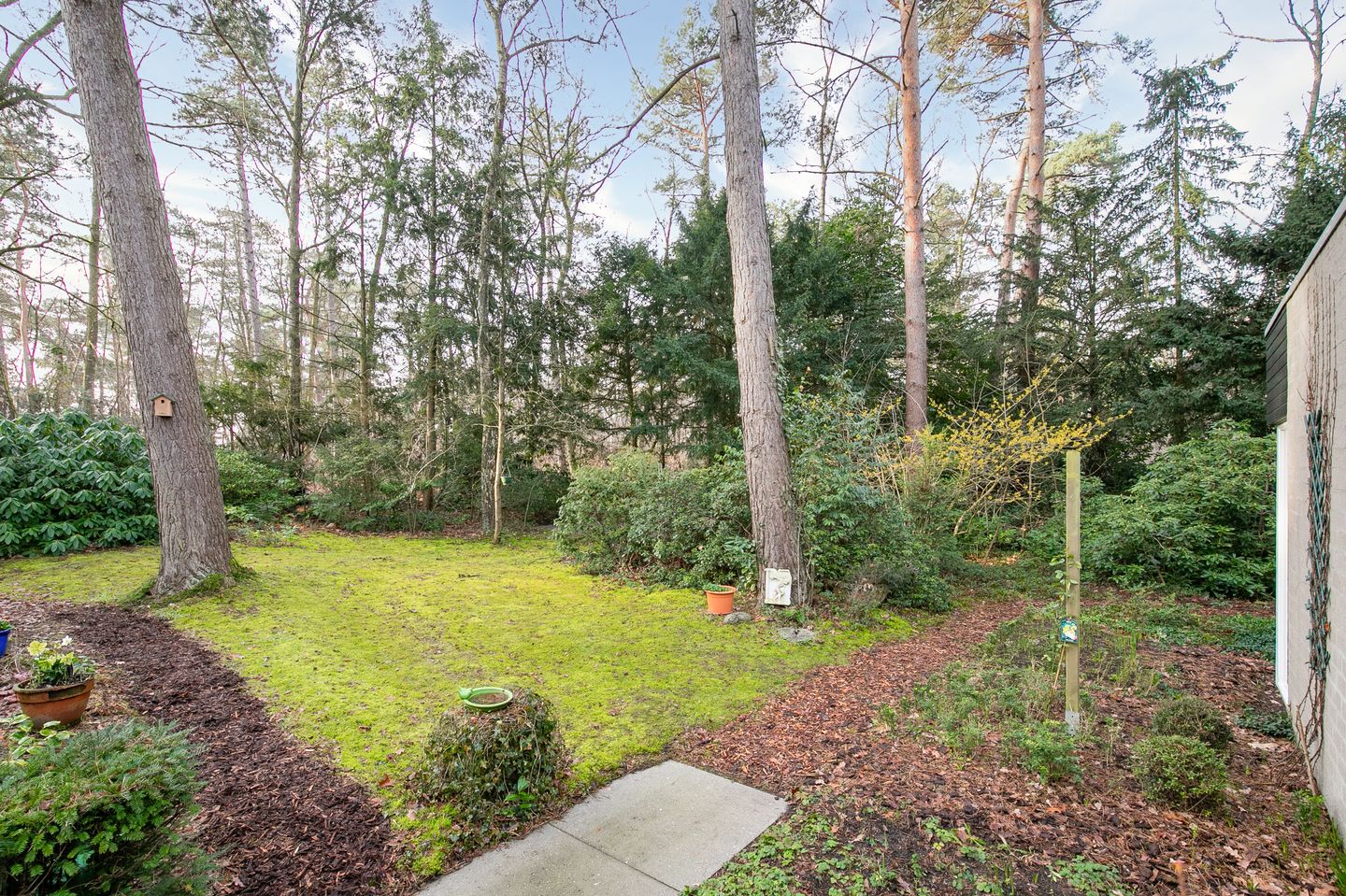 Foto 34 van Ravetsmaar 13