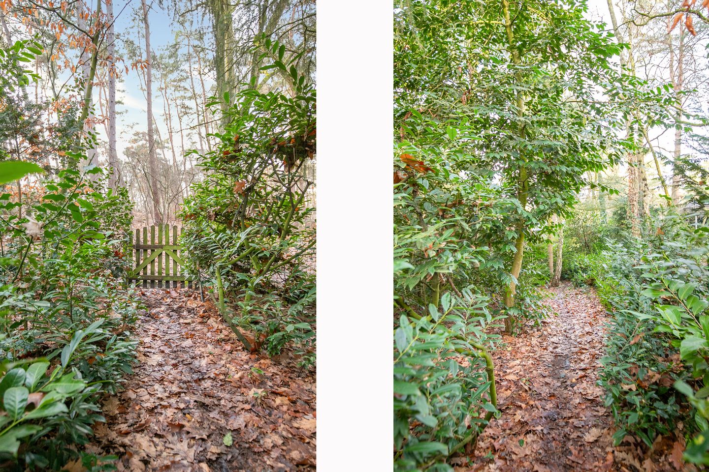 Foto 35 van Ravetsmaar 13