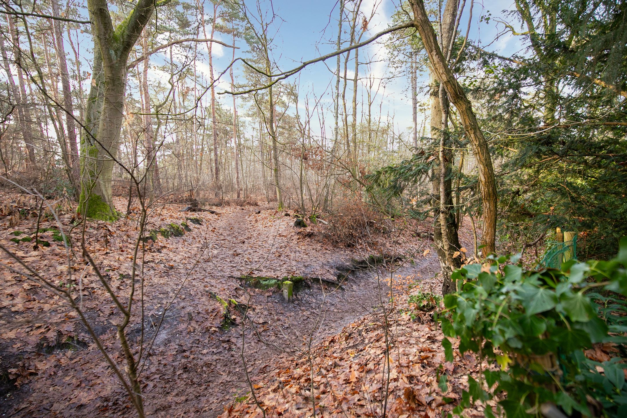 Foto 36 van Ravetsmaar 13