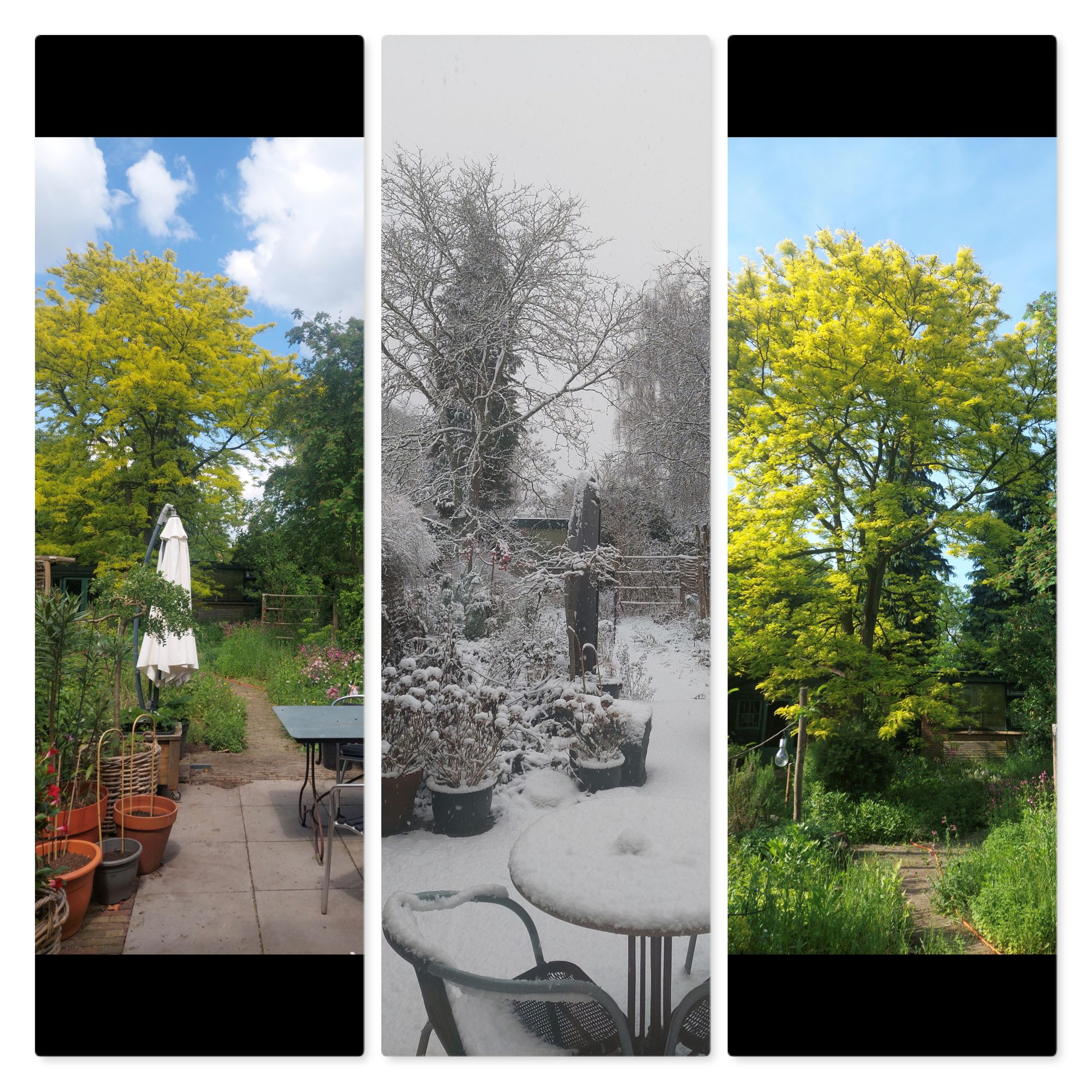 Foto 33 van Hertstraat 58