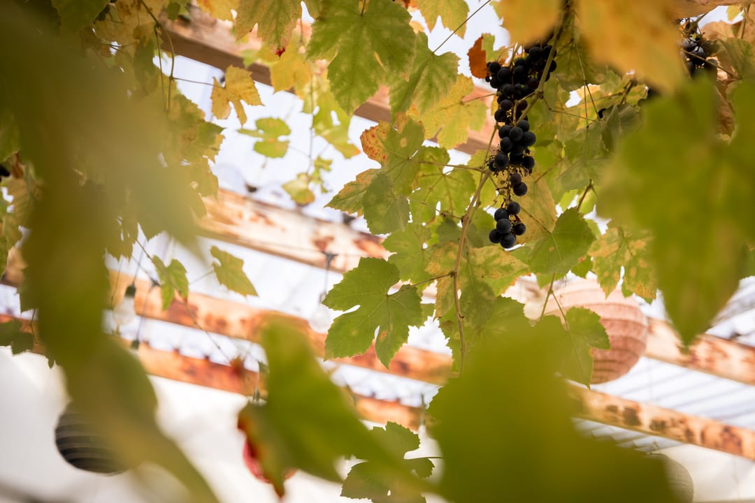 Foto 38 van Streekweg 357