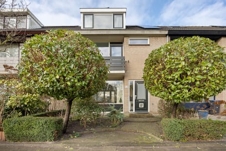 Dodaarslaan thumbnail