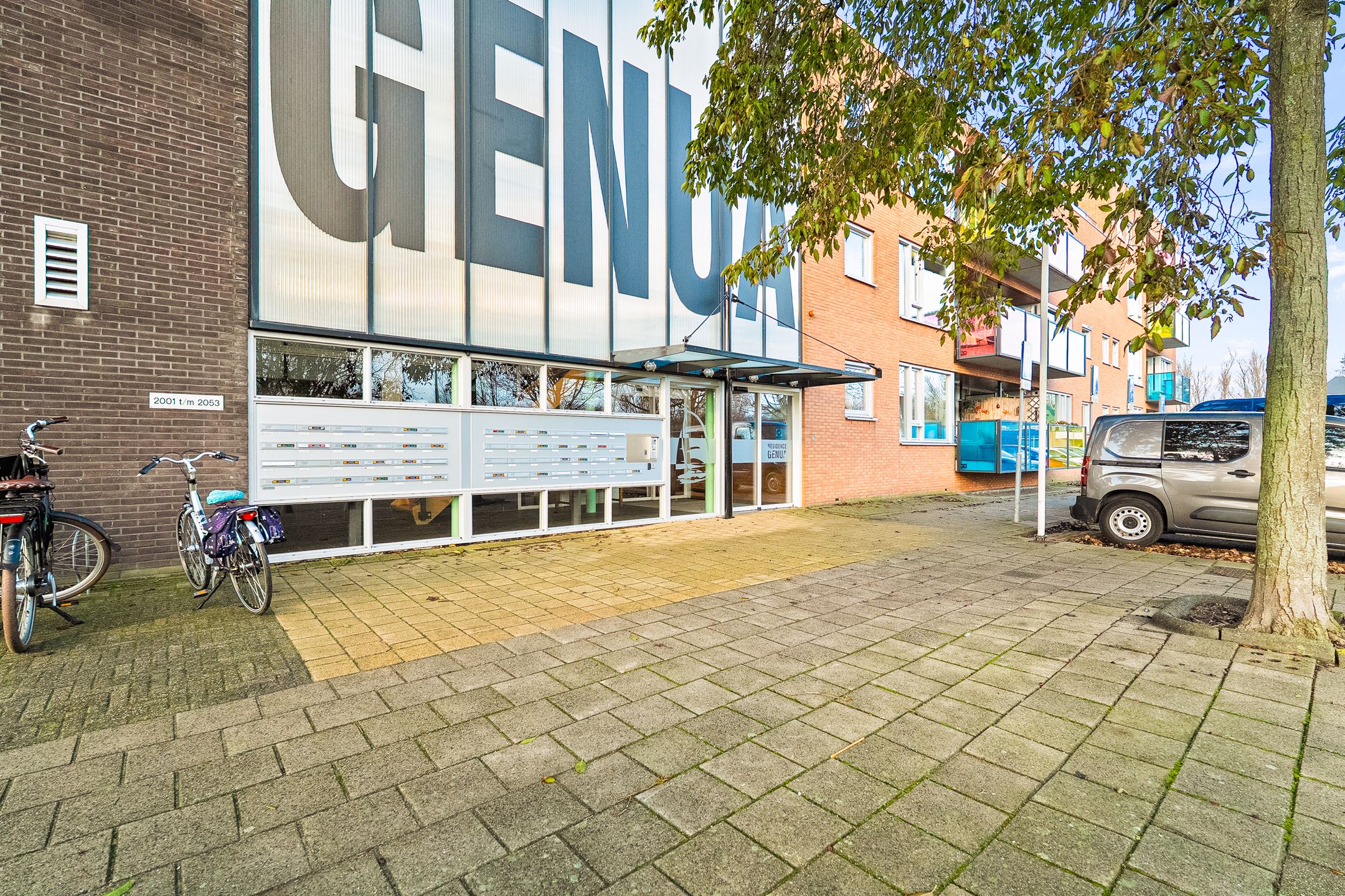 Foto 3 van Drooghe Bol 2029