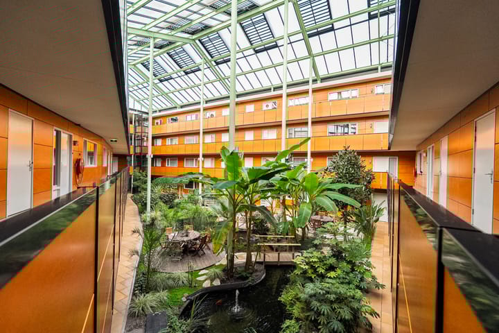 Foto 5 van Drooghe Bol 2029