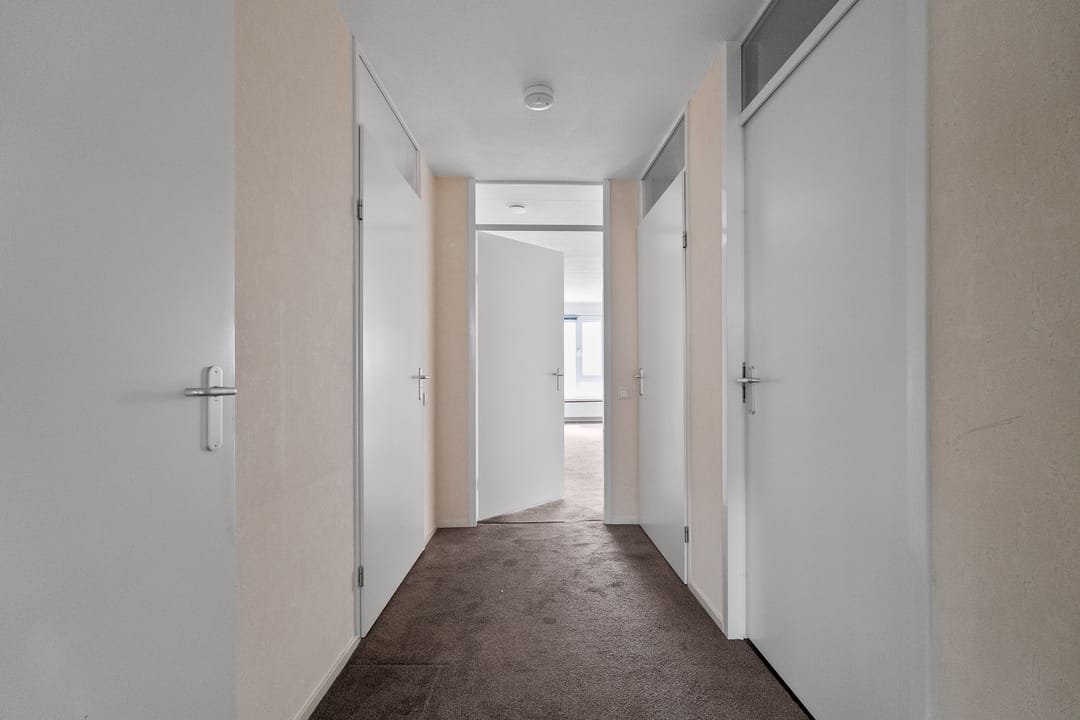 Foto 8 van Drooghe Bol 2029