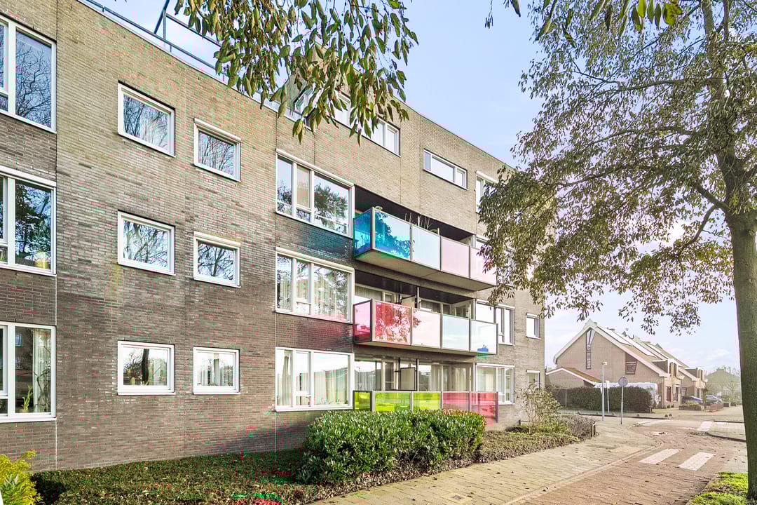 Foto 2 van Drooghe Bol 2029