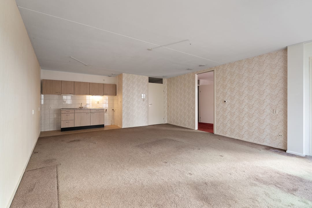 Foto 11 van Drooghe Bol 2029