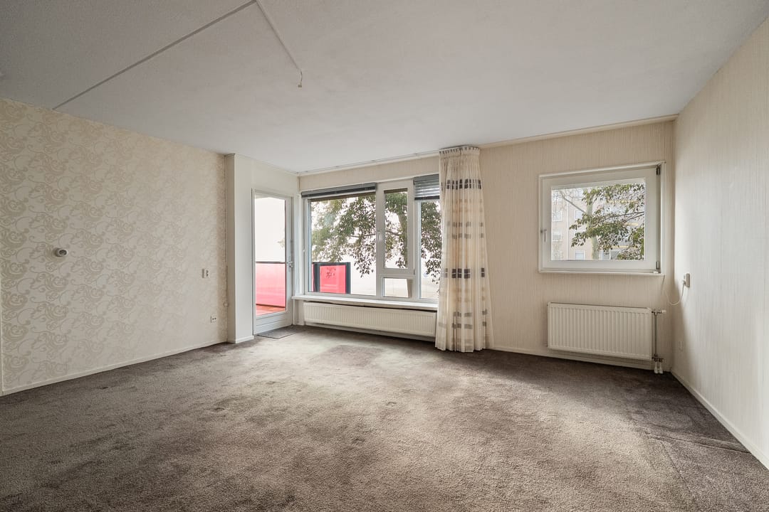 Foto 13 van Drooghe Bol 2029