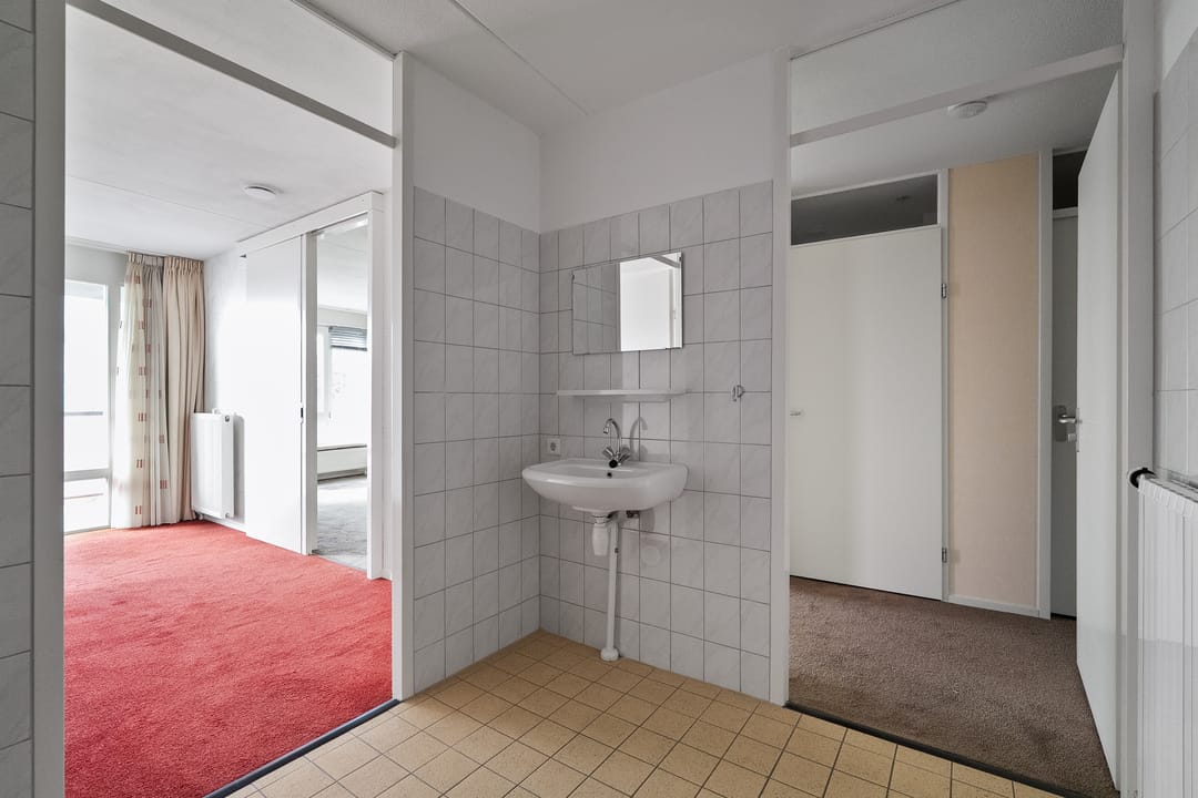 Foto 17 van Drooghe Bol 2029