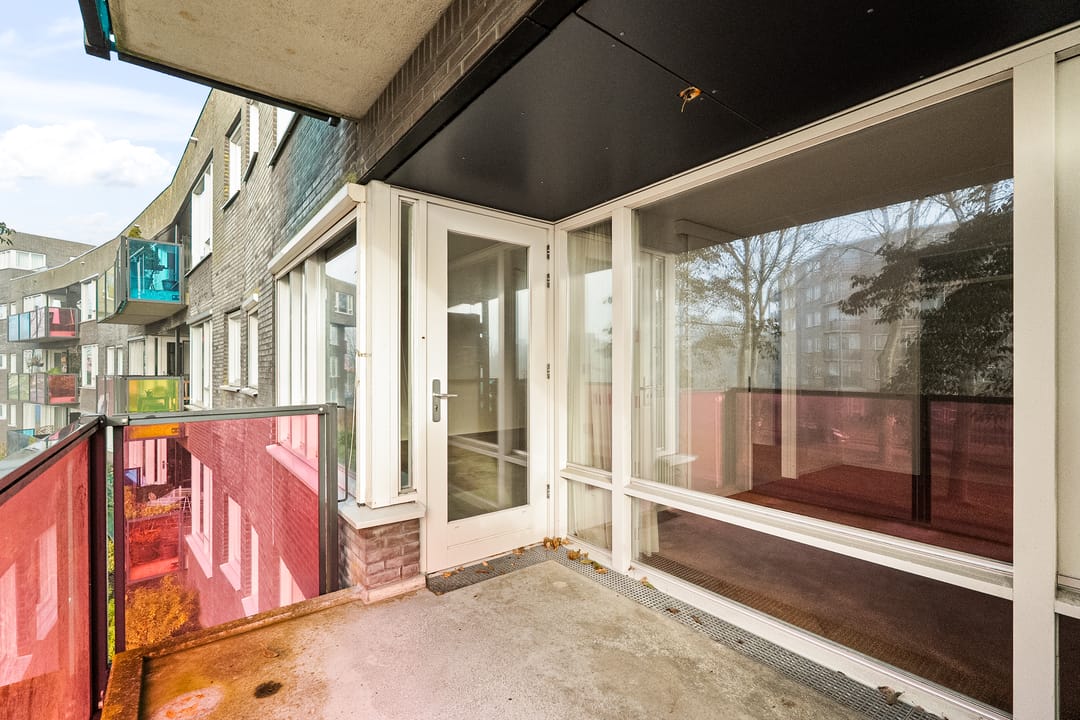 Foto 23 van Drooghe Bol 2029