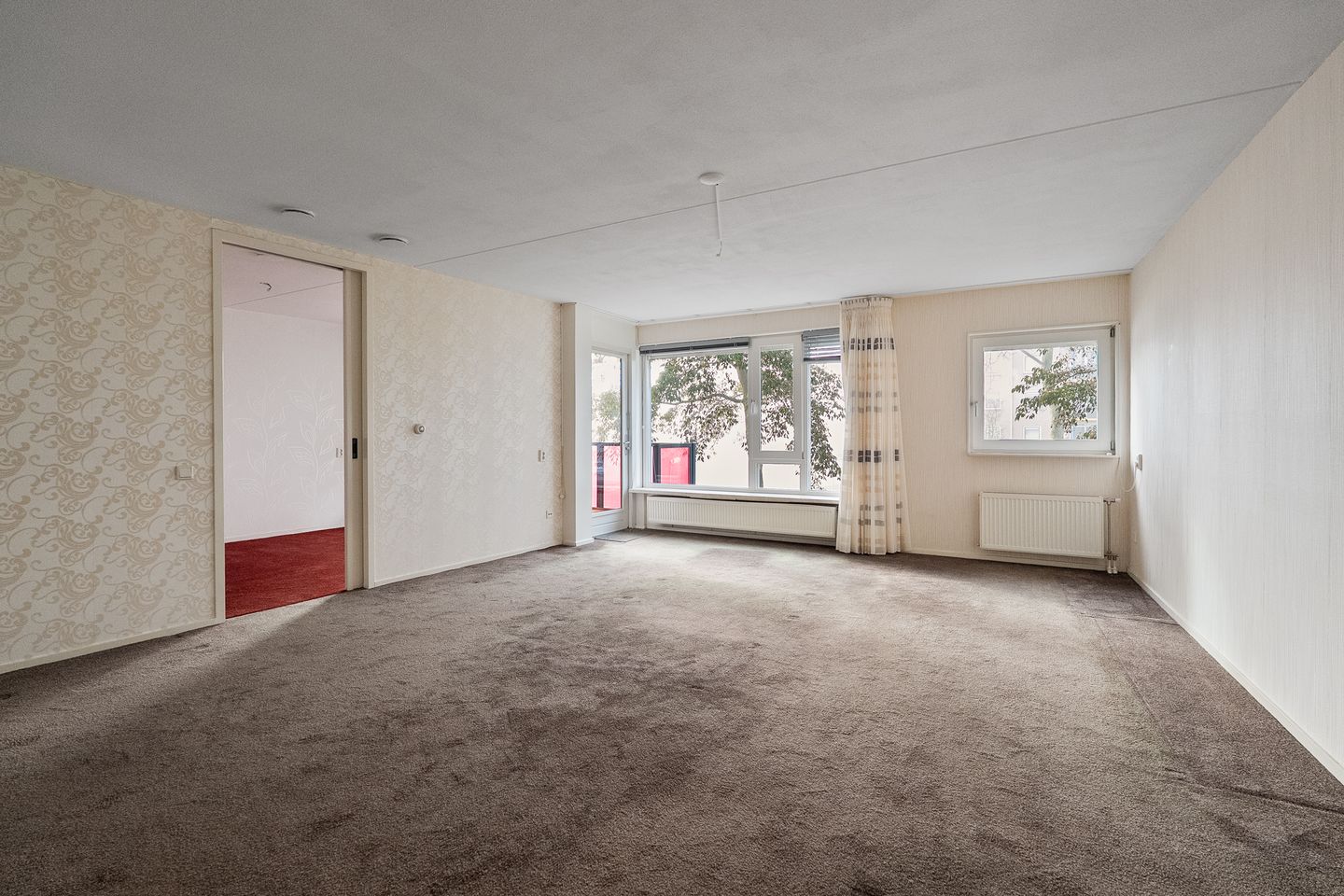 Foto 10 van Drooghe Bol 2029