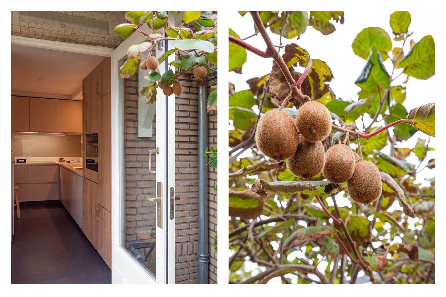 Foto 19 van Joan Maetsuykerlaan 11