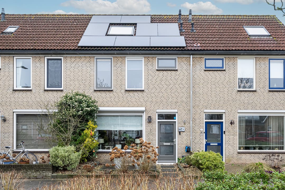 Foto 1 van Gerbera 4