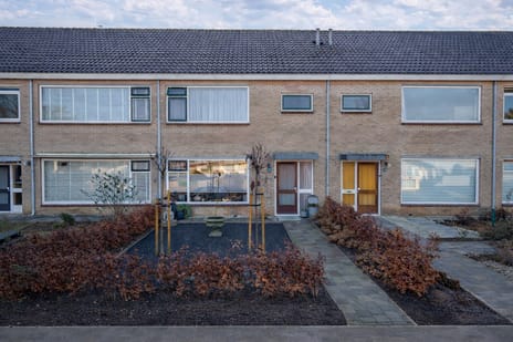 undefined main image