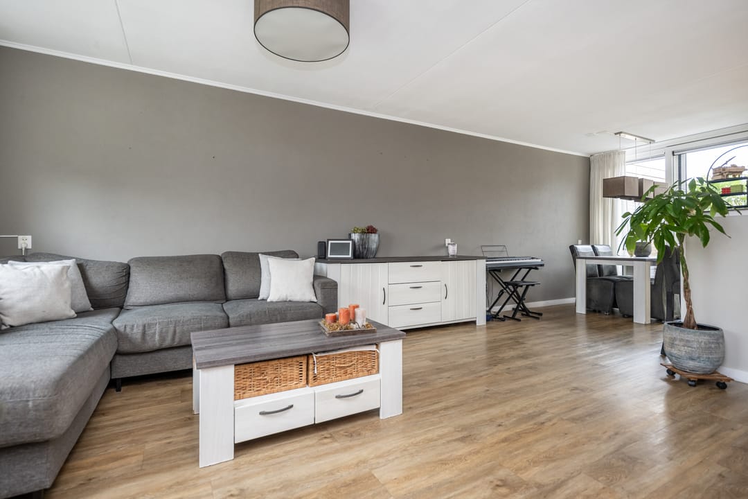 Foto 2 van Gerbera 4