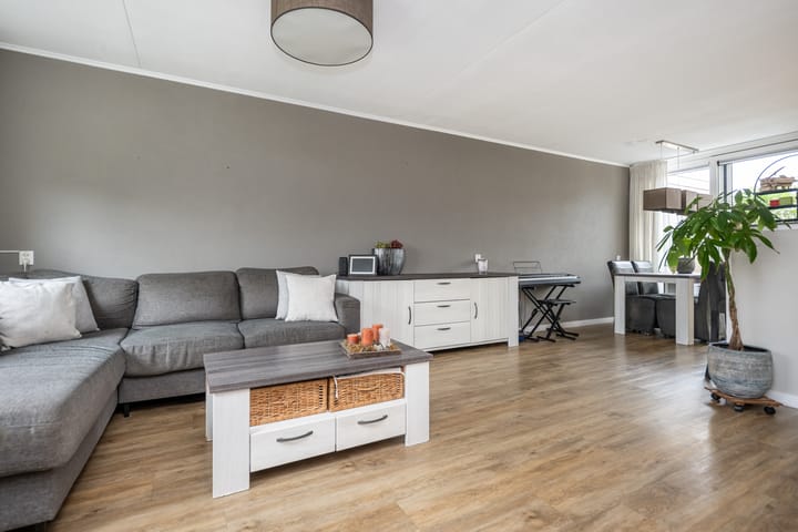 Foto 2 van Gerbera 4