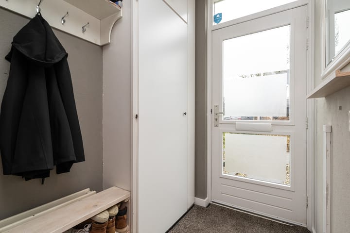 Foto 4 van Gerbera 4