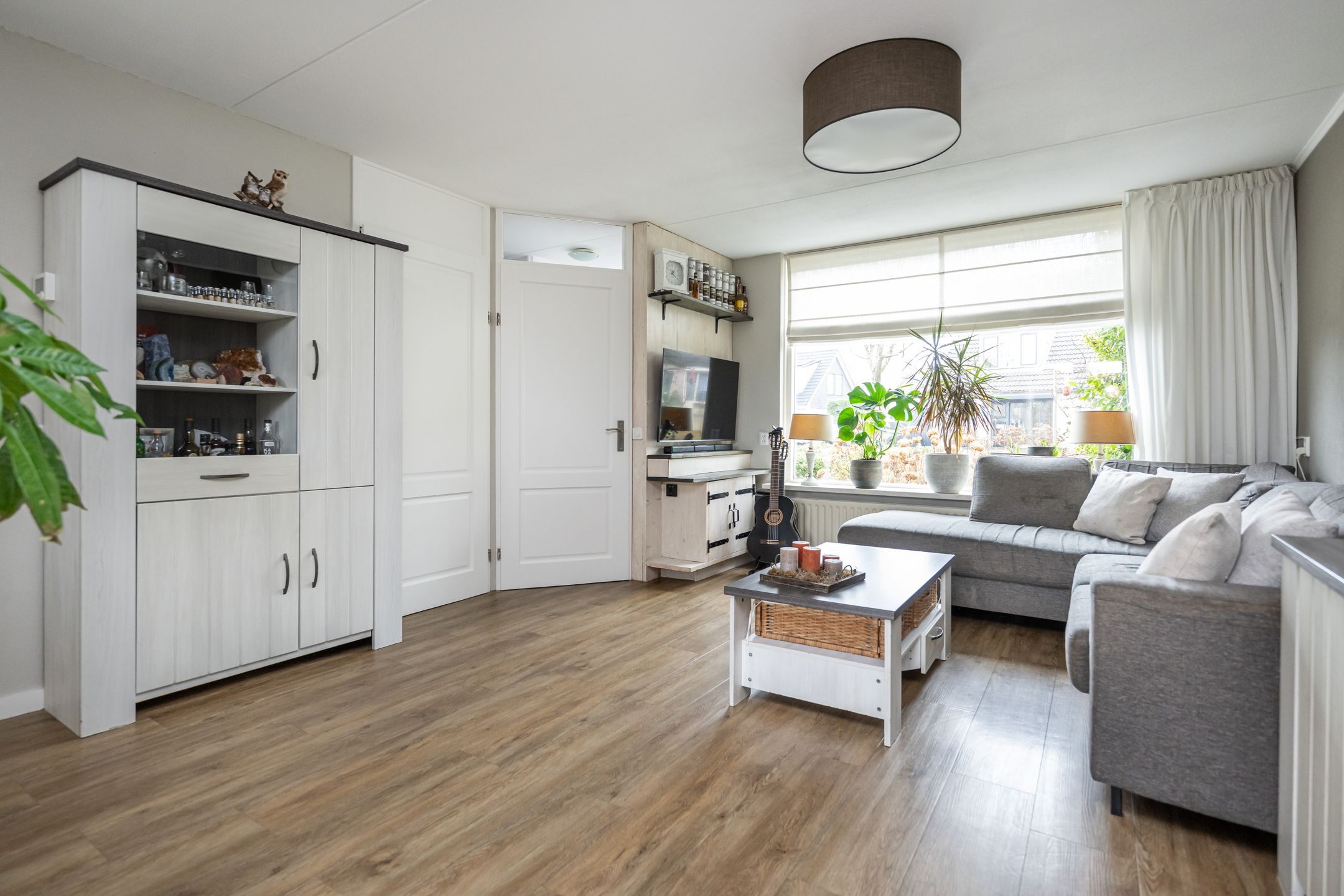 Foto 6 van Gerbera 4