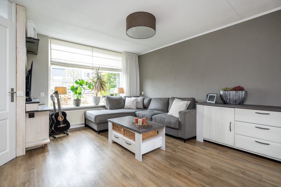 Foto 7 van Gerbera 4