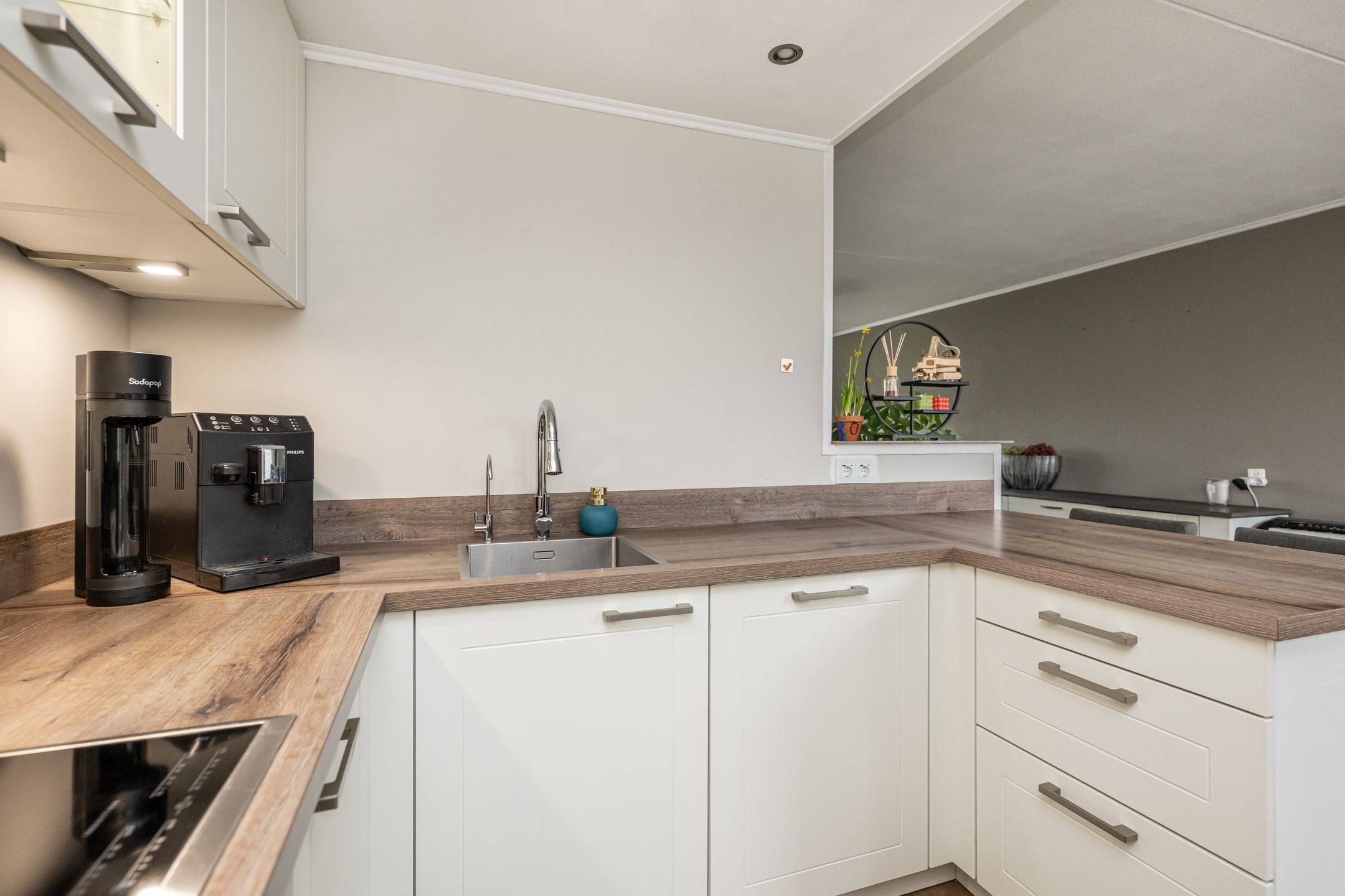 Foto 9 van Gerbera 4