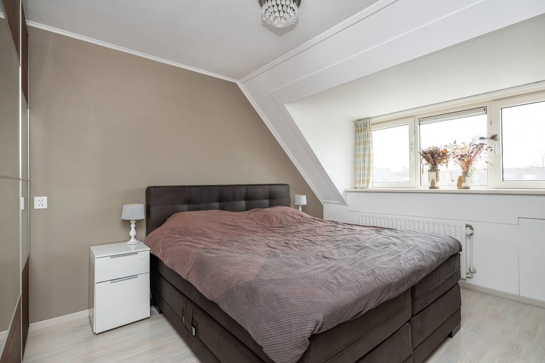 Foto 16 van Gerbera 4