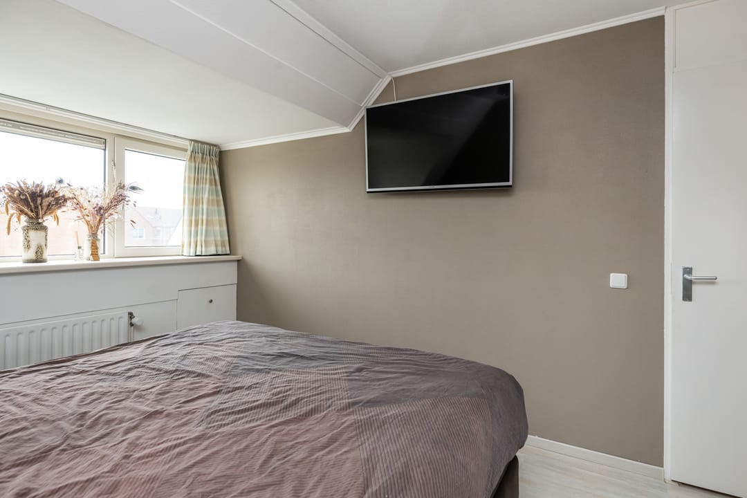 Foto 17 van Gerbera 4