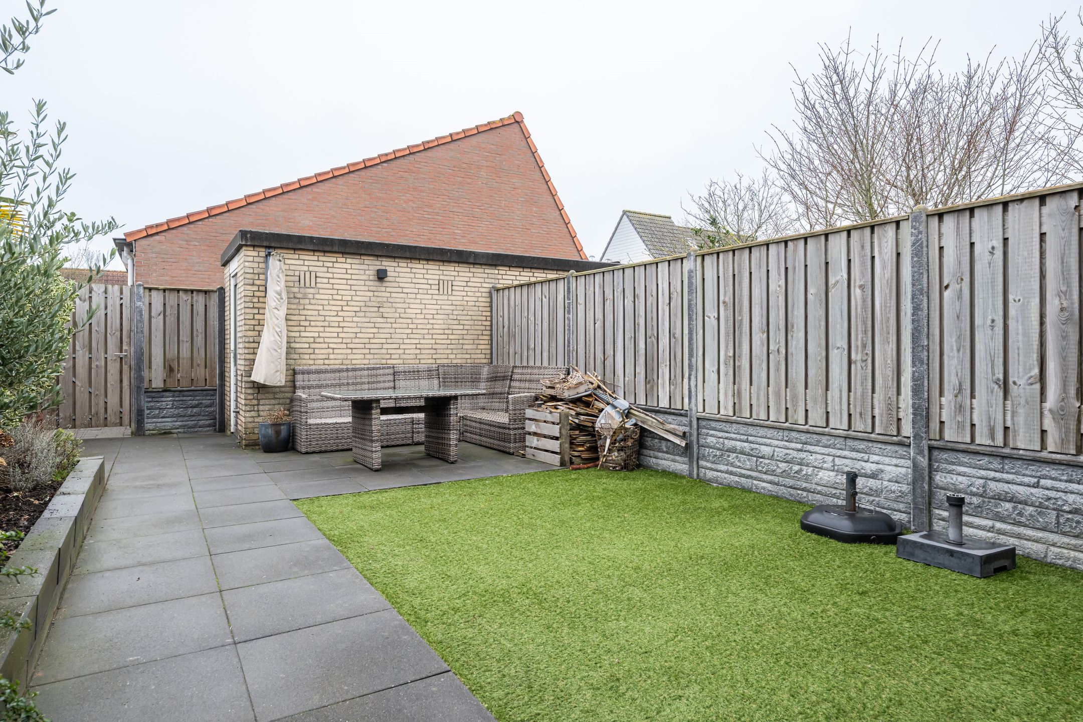 Foto 24 van Gerbera 4