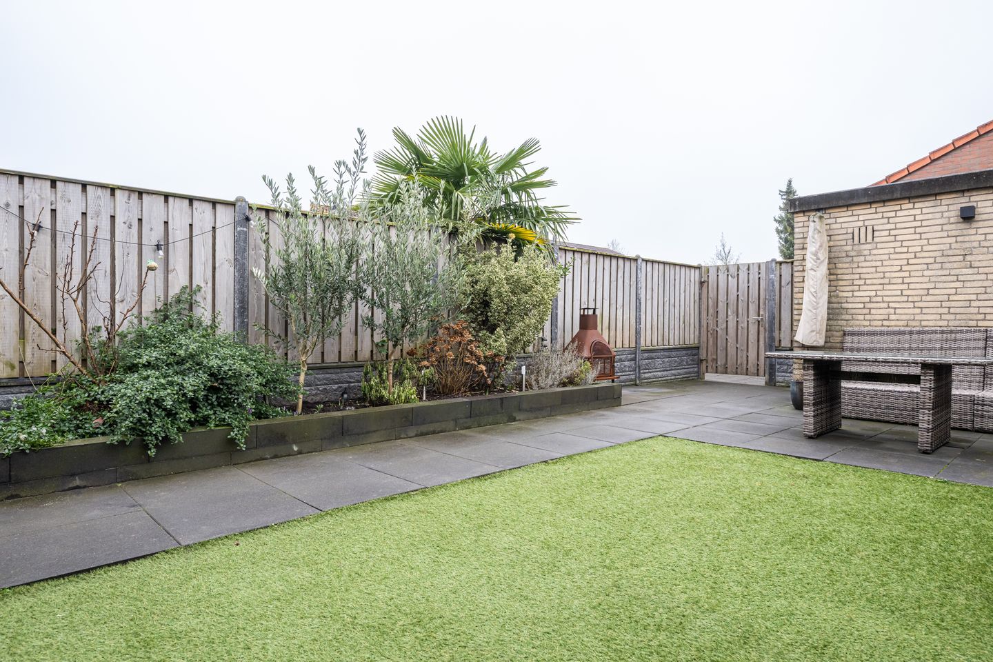 Foto 25 van Gerbera 4